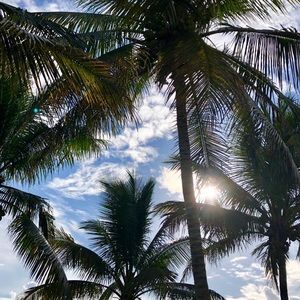 Meet your Posher, Ingrid